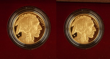 (2) US American Buffalo 2011 One Ounce Gold Proof Coins